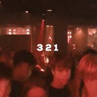 Dance Party GIF by El Patronick