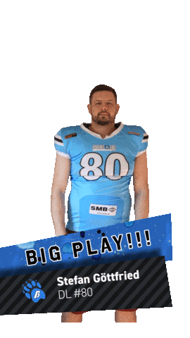 Sticker by Styrian Bears