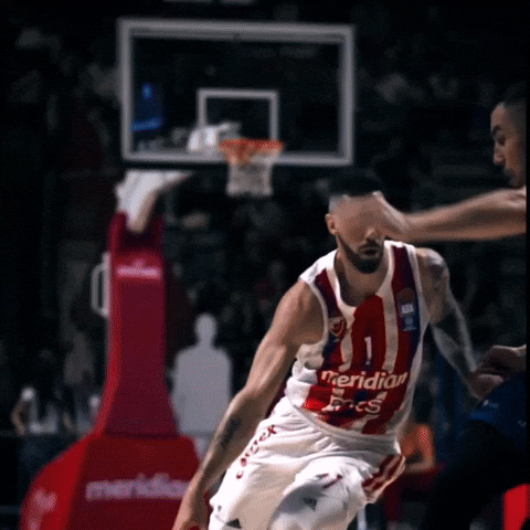 Crvena Zvezda Vildoza GIF