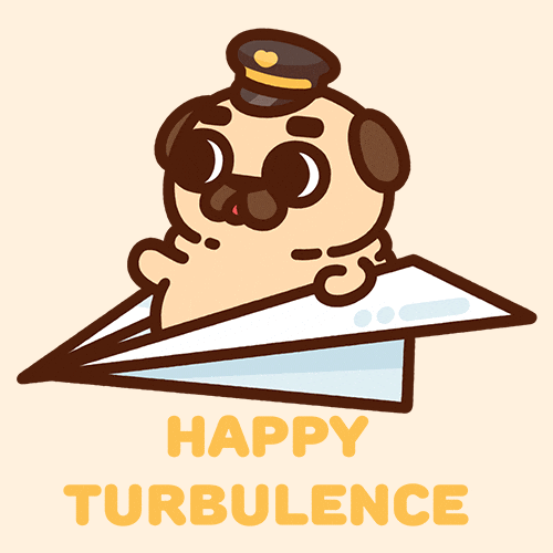 Travel Flying GIF by Puglie Pug