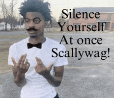 Scallywag GIF