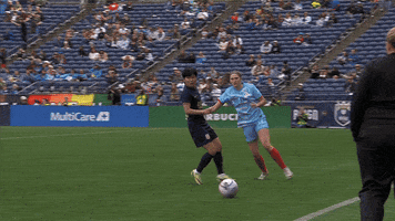 Womens Soccer Throw Ball GIF by National Women's Soccer League