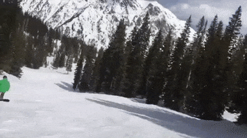snowboarding mike weinstein GIF by Justin