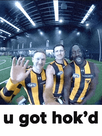 Afl Hok GIF by Hawthorn Football Club
