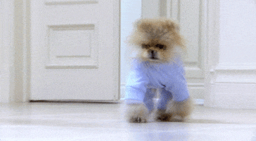 safe for work running GIF by RealityTVGIFs