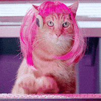 Video gif. A cat with a pink wig and headset is quickly typing on a keyboard, caught in the middle of a workday.
