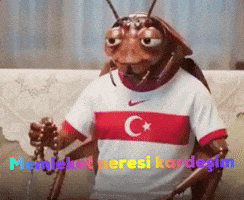 Hamam GIF