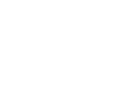 Emerica Skate Shoe Sticker by Emerica Canada