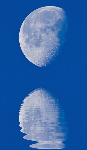 Day Moon GIF by HNRY FLWR