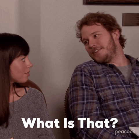 What Is That Season 3 GIF by Parks and Recreation
