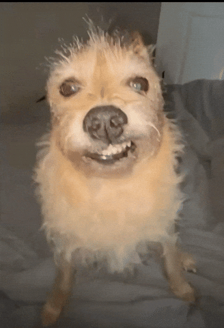 Watches Whoisthis GIF