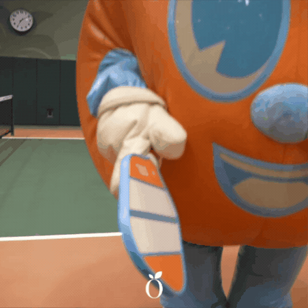 Pickleball Paddle GIF by Orlando Life