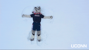 Snow Winter GIF by UConn