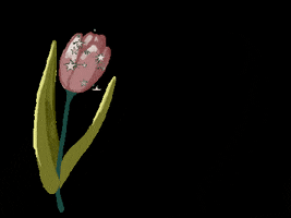 Illustration Flowering GIF