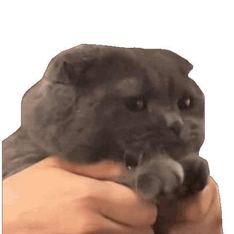 Gdragon Cat Sticker