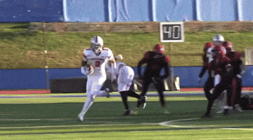 Shfootball GIF