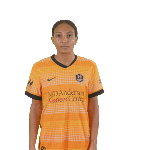 Womens Soccer Usa Sticker by Houston Dash