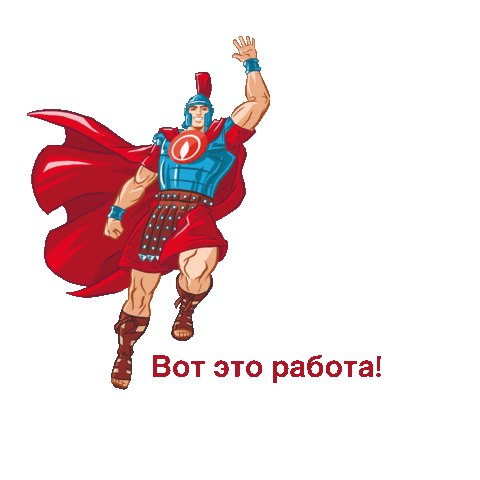 IMMERGAS RUSSIA Sticker