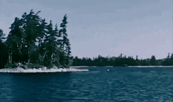 Cottage Country Forest GIF by Archives of Ontario | Archives publiques de l'Ontario