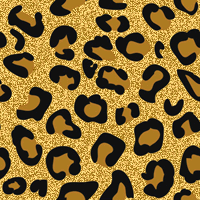 leopard GIF