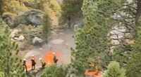 California Firefighters Burn Vegetation in Effort to Control Spread of Caldor Fire
