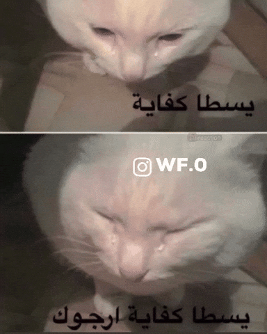 Wf0 GIF