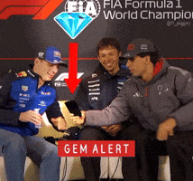 Max Verstappen Gem GIF