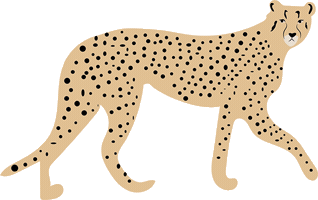 Animated Sticker