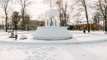 Snow Explore GIF by Choose Marshall