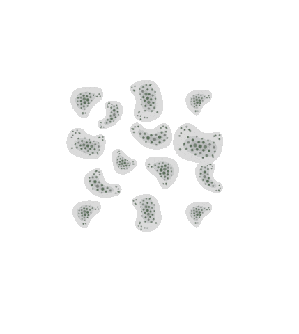 Nuresto Enviromental Sticker