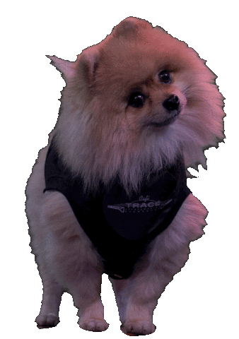 Trace Sticker by Café Tracé