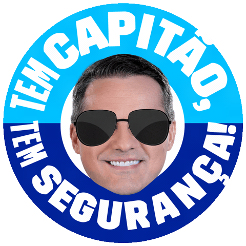 Cirogomes Sticker by Capitão Wagner 445
