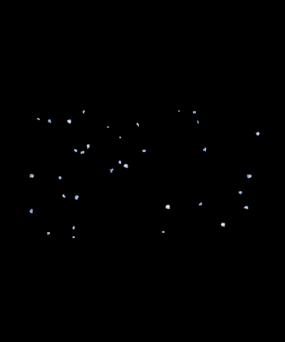 Audimas GIF