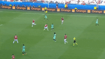 navijacnica #ronaldo #portugal GIF