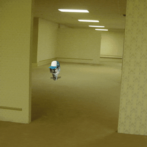 Kitty Cat Meme GIF by Furrend