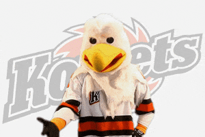 hockey facepalm GIF by Fort Wayne Komets