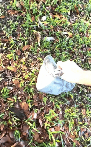 Dog Poop GIF by BuzzFeed