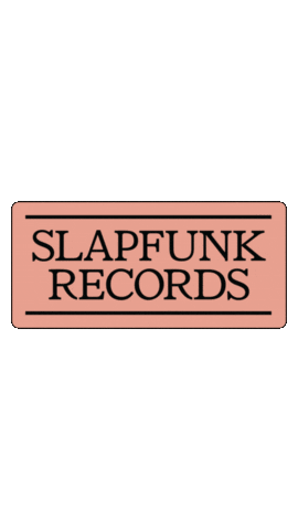 Dj House Sticker by Slapfunk records
