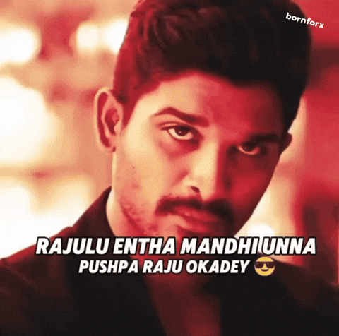 Allu Arjun Bollywood GIF