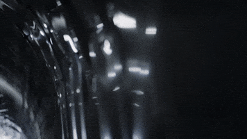 Tommy GIF by Nettspend