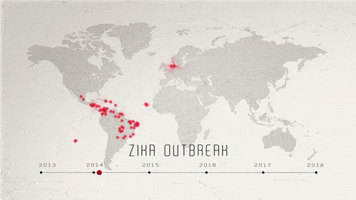 Zika Virus Mosquito GIF by Discovery