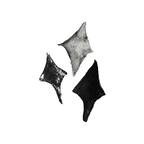 Sparkle Effects Sticker by Sohome_nl