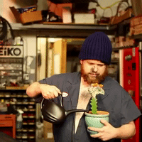 200.gif?cid=fc005b086340ee08e75f473158c17e8aa649146927b951bd&rid=200.gif&ct=g