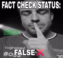 Fernando Alonso Fact GIF