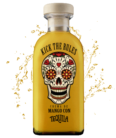 Kick The Rules Sticker