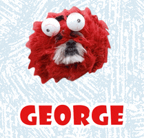 Dog George GIF
