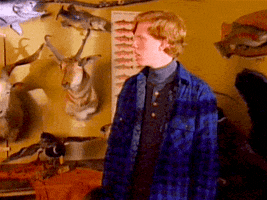 the adventures of pete and pete 90s GIF