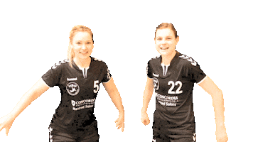 Goal Celebrating Sticker by HSG Hannover-West