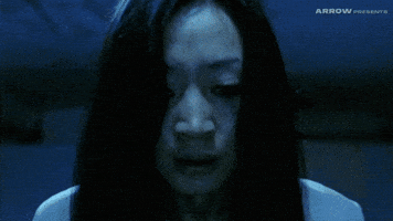Peter Ho-Sun Chan Horror GIF by Arrow Video