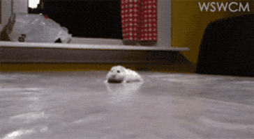 wait up hold on GIF wait up hold on GIF